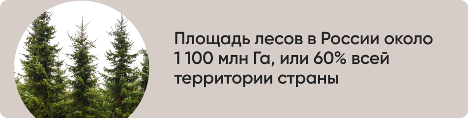 Площадь лесов в России около.jpg Площадь лесов в России около.jpg