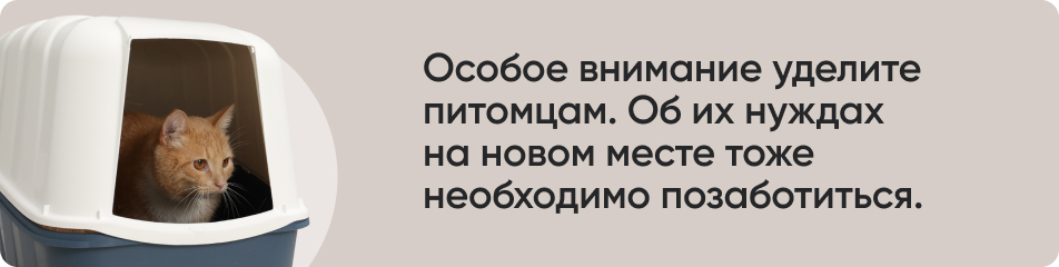 Особое внимание уделите.jpg