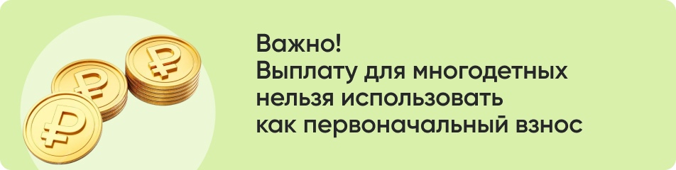 Важно! Выплату для многодетных нельзя использовать.jpg