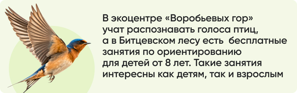 В экоцентре Воробьевых гор.jpg