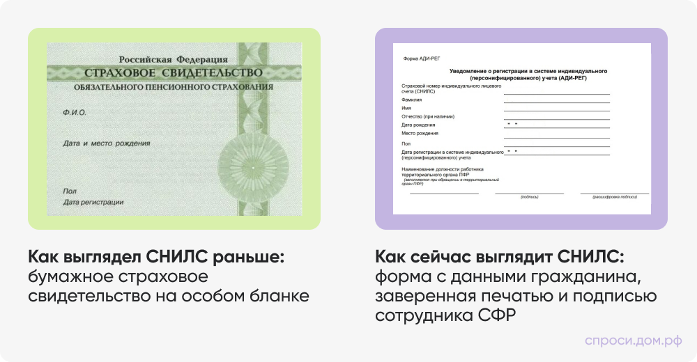инфографика 3.png