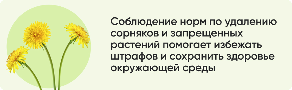 Соблюдение норм по удалению сорняков.jpg Соблюдение норм по удалению сорняков.jpg