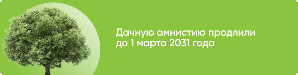 В России дачная амнистия действует до 1 марта 2026 года