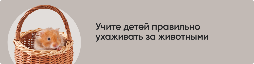 Учите детей правильно.png