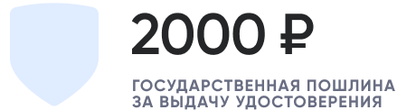 10 дней.png