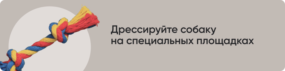 Дрессируйте собаку на специальных площадках