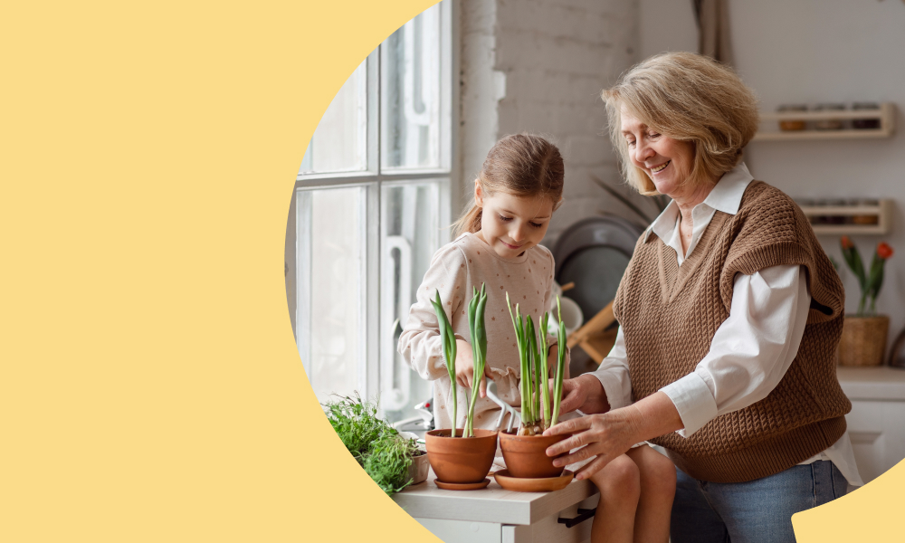 Пенсии: последние новости на сегодня