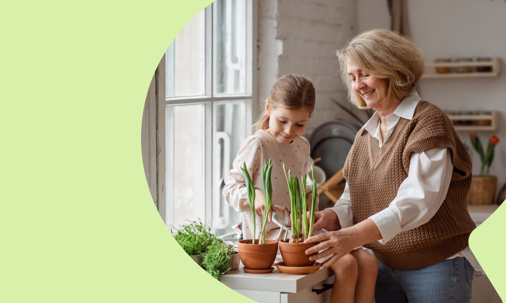 Кто сможет выйти на страховую пенсию по старости в 2026 году