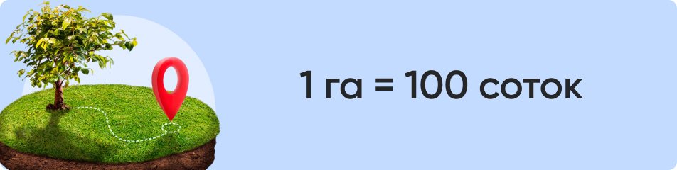 1 га = 100 соток.jpg