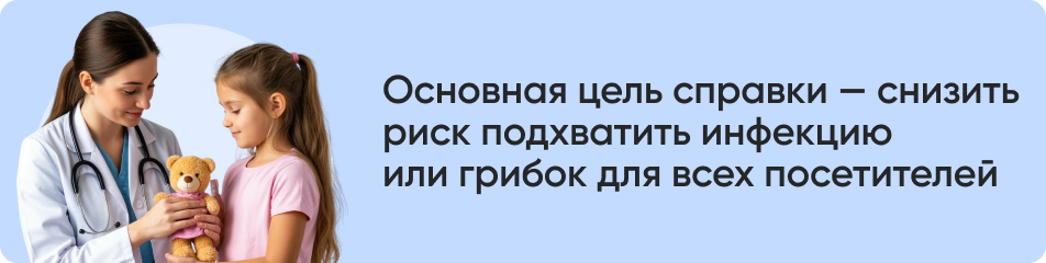 Основная цель справки.jpg Основная цель справки.jpg