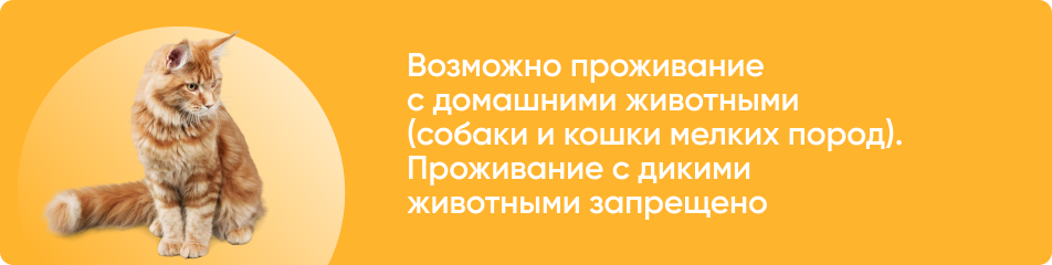 Жилье по программе найма государственного жилья