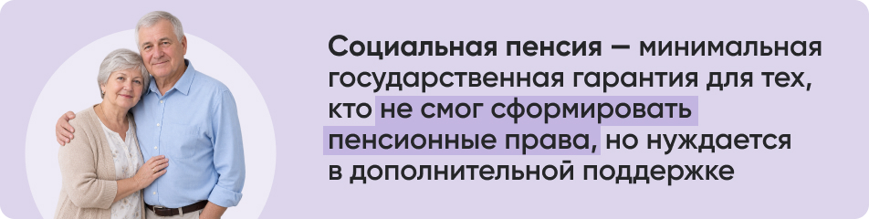 Социальная пенсия минимальная государственная гарантия.jpg