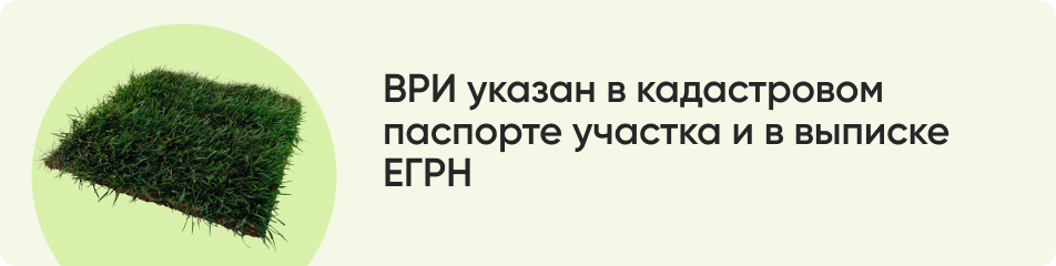 ВРИ указан в кадастровом паспорте.jpg ВРИ указан в кадастровом паспорте.jpg