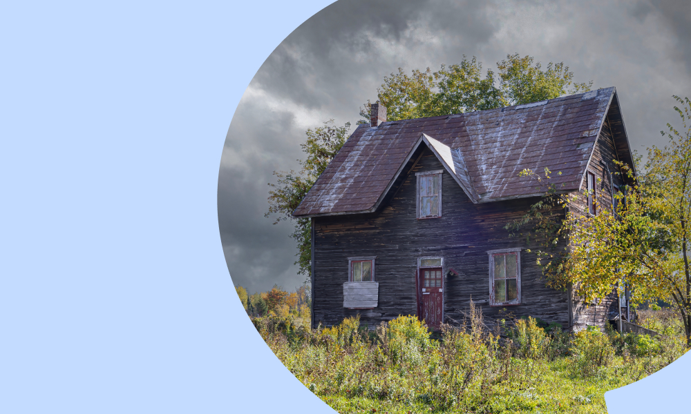 За какое время нужно привести в порядок заброшенный земельный участок