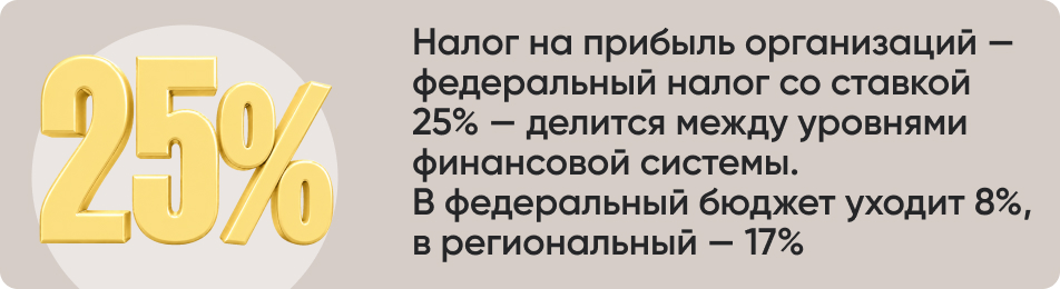 Налог на прибыль организаций.jpg
